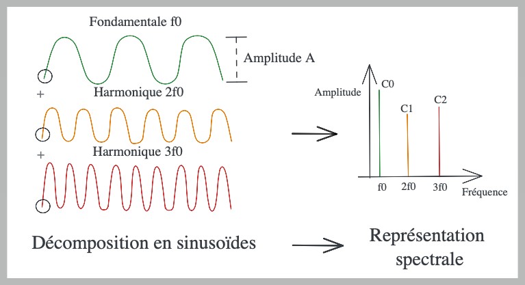 La fréquence fondamentale et les harmoniques d'un signal sonore périodique sont présentées sous forme d'un graphique. En abscisses la fréquence et en ordonnées l'amplitude.