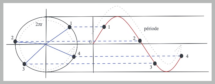 Observation d'un point sur une roue qui tourne. Si la hauteur de ce point en fonction du temps est reportée sur un graphique, une sinusoïde est obtenue.