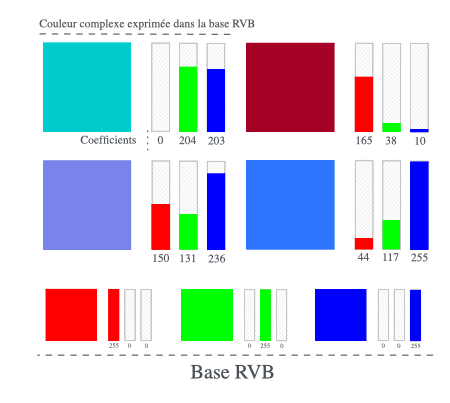 Couleurs exprimées dans la base RVB. Le rouge est composé de 255 pixels de rouge, 0 pixel de vert, 0 pixel de bleu. Le mauve est composé de 150 pixels de rouge, 131 pixels de vert, 236 pixels de bleu. 