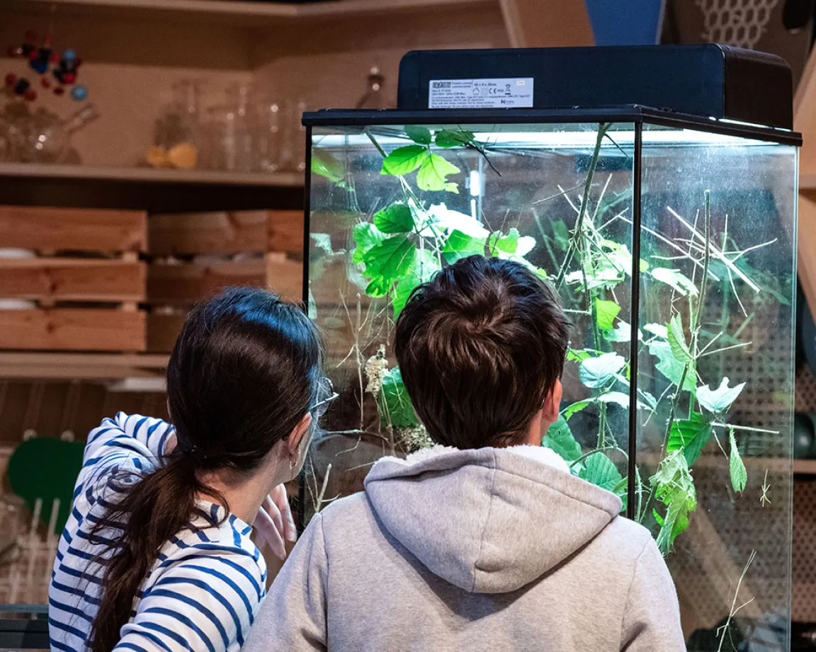 Deux enfants s'extasient devant un terrarium où se trouve des plantes