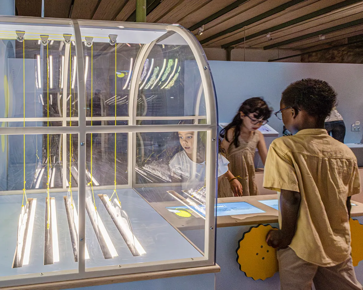 Enfants manipulant le dispositif "Cache-cache nuages" dans la partie "Le ciel" de l'exposition Transparence