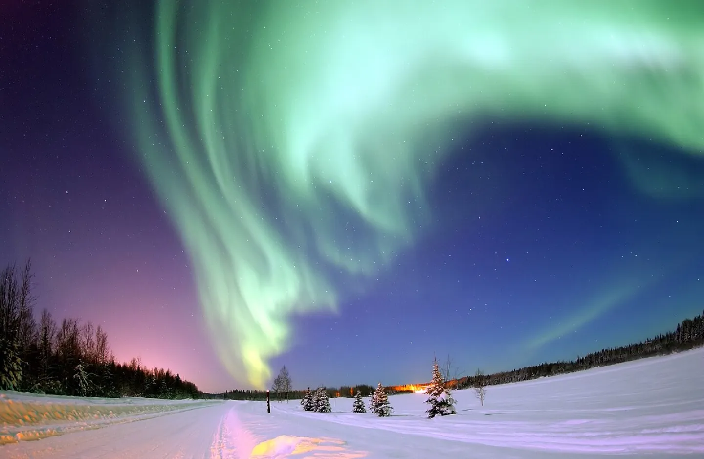 Aurore boréale dans un ciel nocturne, ciel de couleur bleue, violette et aurore boréale verte, au sol de la neige et des sapins.